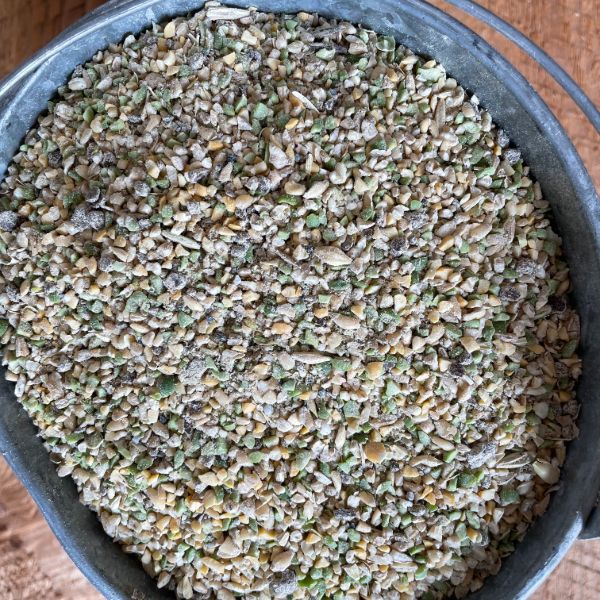 Kaniksu Mega Layer Mash 17%, 50 lb