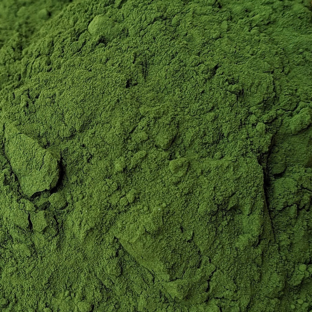 Chlorella Powder (Cracked Cell Wall) for Goats