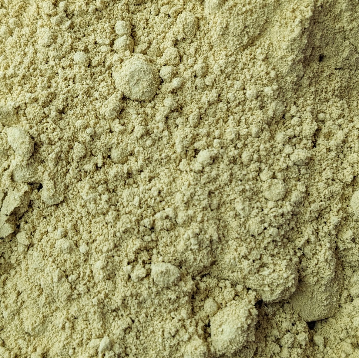 Horsetail Powder for Goats (Wild Crafted)