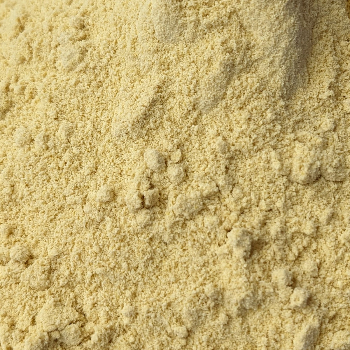 Yellow Mustard Seed Powder for Goats