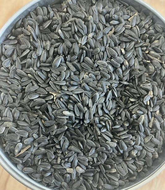 Kaniksu Black Oil Sunflower Seeds (BOSS), 50 lb