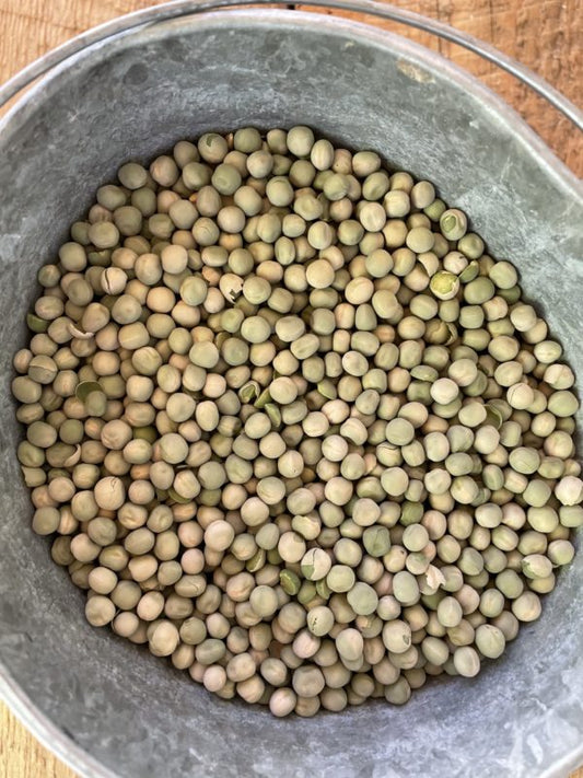Kaniksu Whole Field Peas 22%, 50 lb