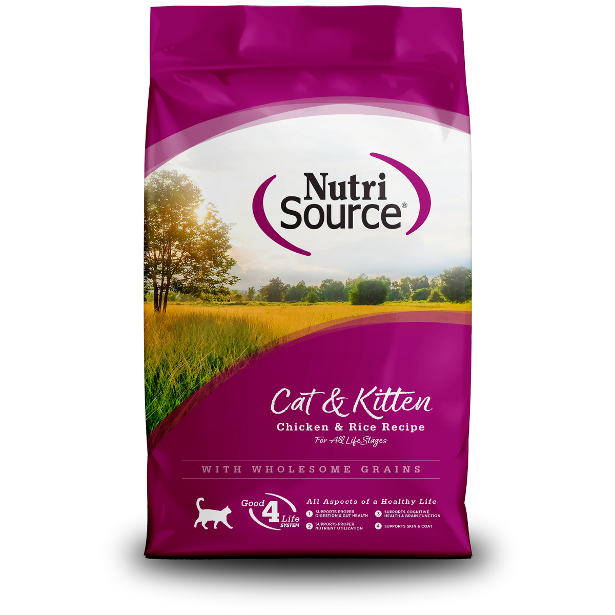NutriSource Cat & Kitten Chicken & Rice Recipe Dry Cat Food, 4 lb