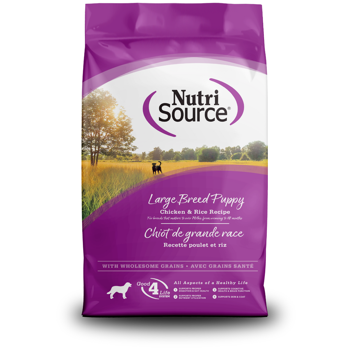 NutriSource Large Breed Puppy Chicken & Rice Recipe Dry Dog Food, 26 lb