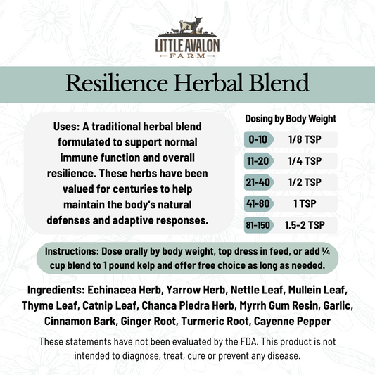 Resilience Herbal Powder Blend | Supporting Normal Immune Function in Animals