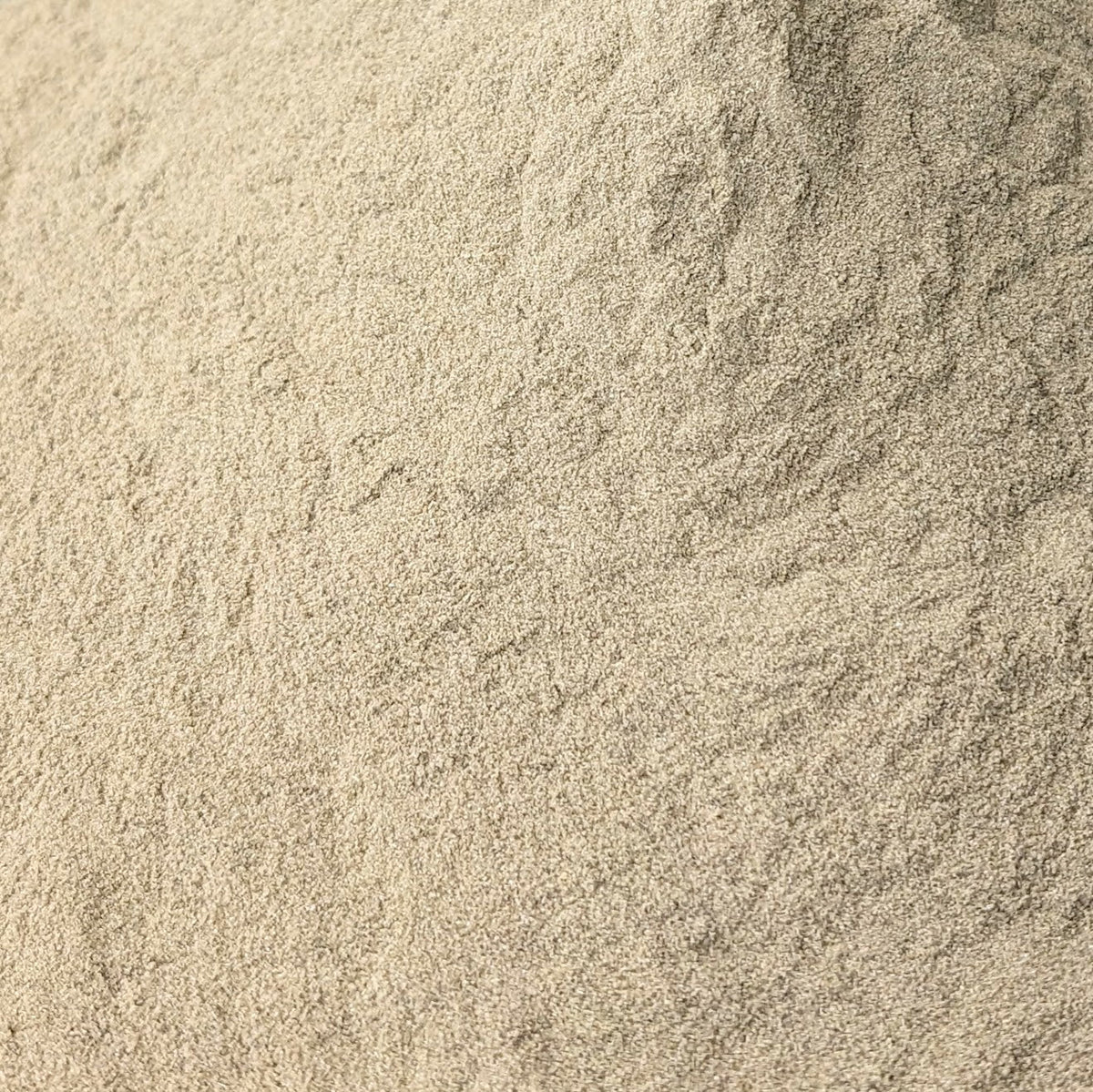 Echinacea Purpurea Tops Powder for Goats (Wild Crafted)