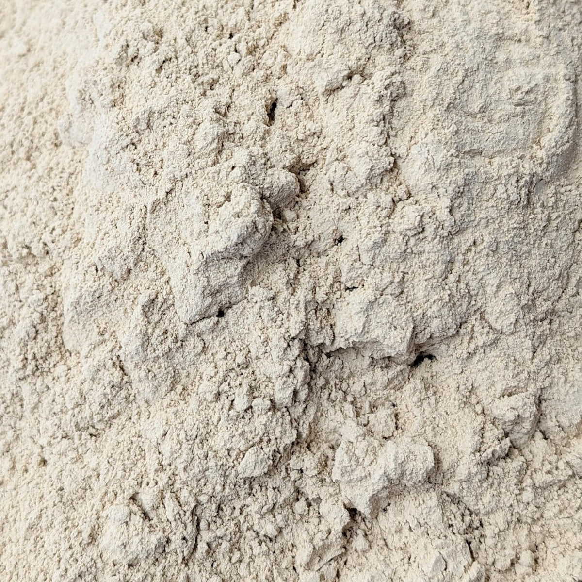 Organic Garlic Powder for Goats