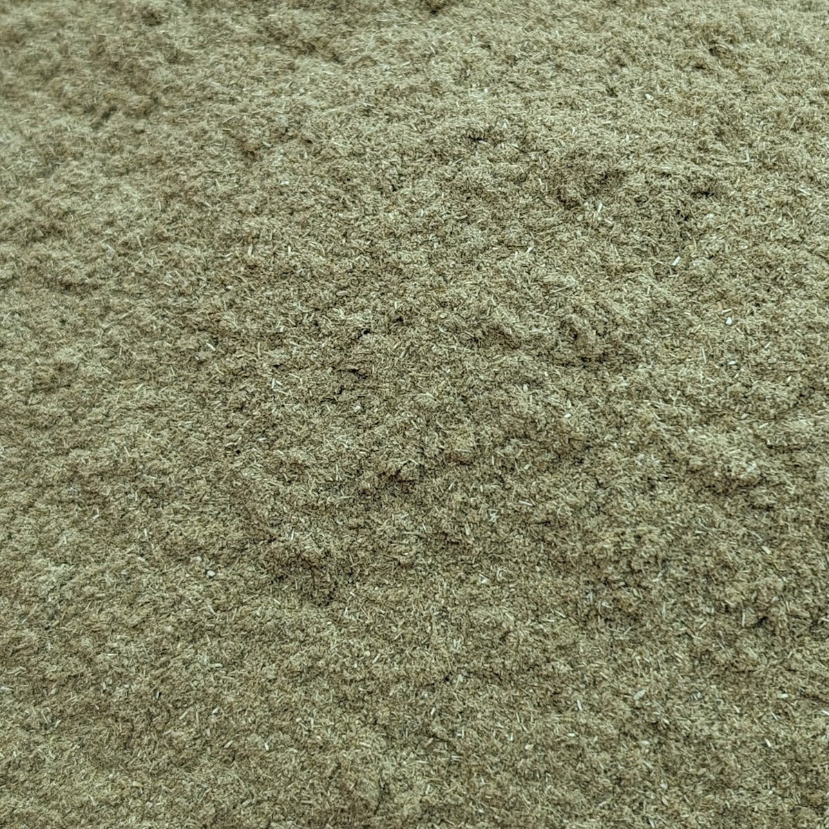 Yarrow Flower and Leaf Powder for Goats